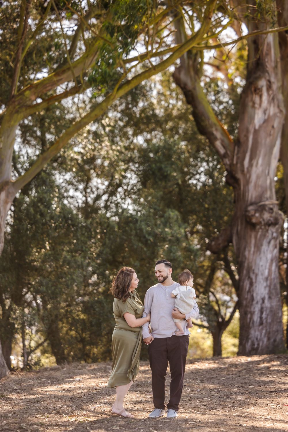 Family of three poses among tall eucalyptus trees, parents holding toddler in a sunlit outdoor setting.