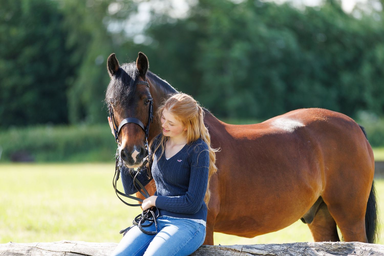 A horse and its rider enjoy an outdoor photoshoot session near rustic wooden fencing on a sunny day.