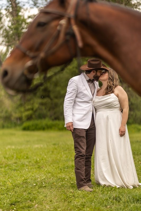 Bride and groom share a romantic kiss in a green field with a chestnut horse in the foreground.