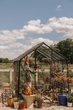 A charming glass greenhouse surrounded by colorful potted plants and succulents under a blue sky with fluffy clouds.