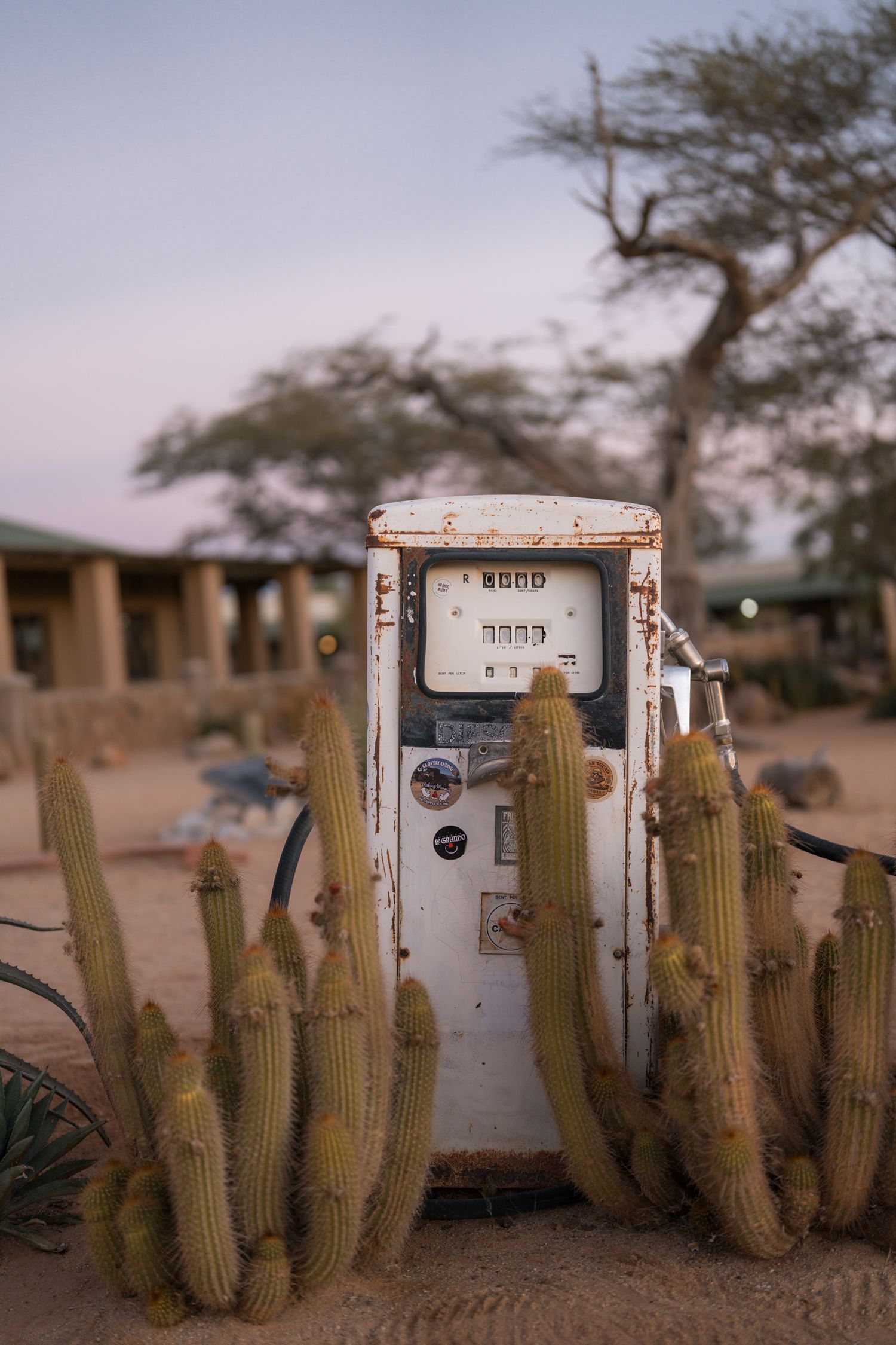 vieillie pompe à essence au milieu des cactus à Solitaire en namibie