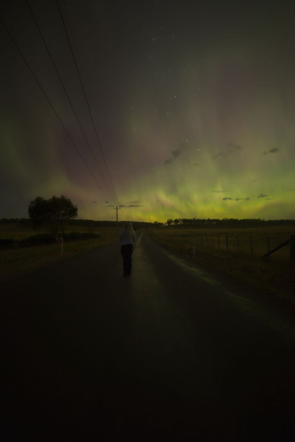 Person standing on a rural road under a stunning aurora australis display with green and purple lights illuminating the night sky.