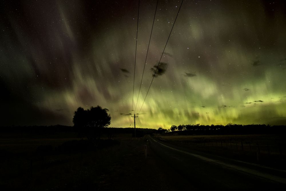 Vivid green aurora australis lighting up night sky over rural road flanked by trees and power lines.
