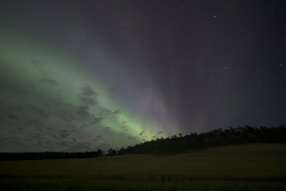 Aurora borealis illuminates the night sky in green and purple hues over a dark treeline and open field.