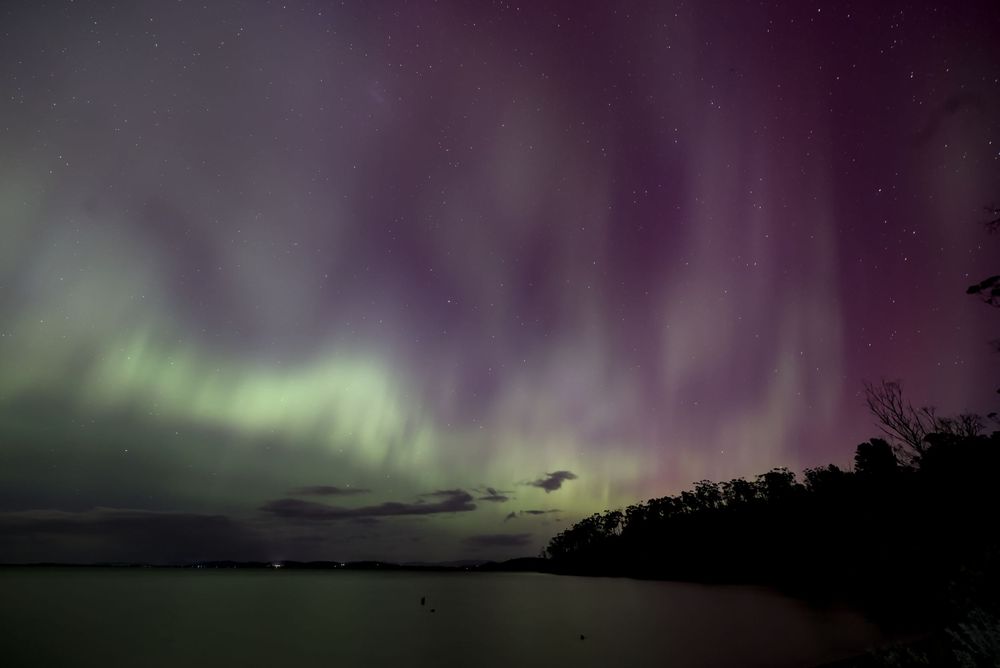 Vibrant aurora borealis with green and purple lights dancing over a calm lake and silhouetted trees at night.