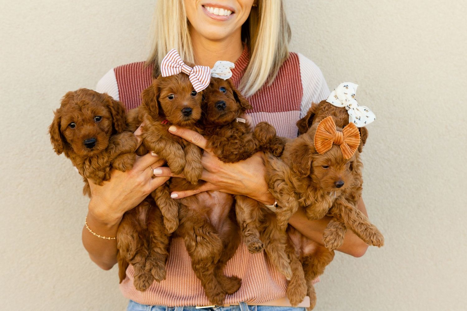 a woman holding 5 mini golden doodle puppies
