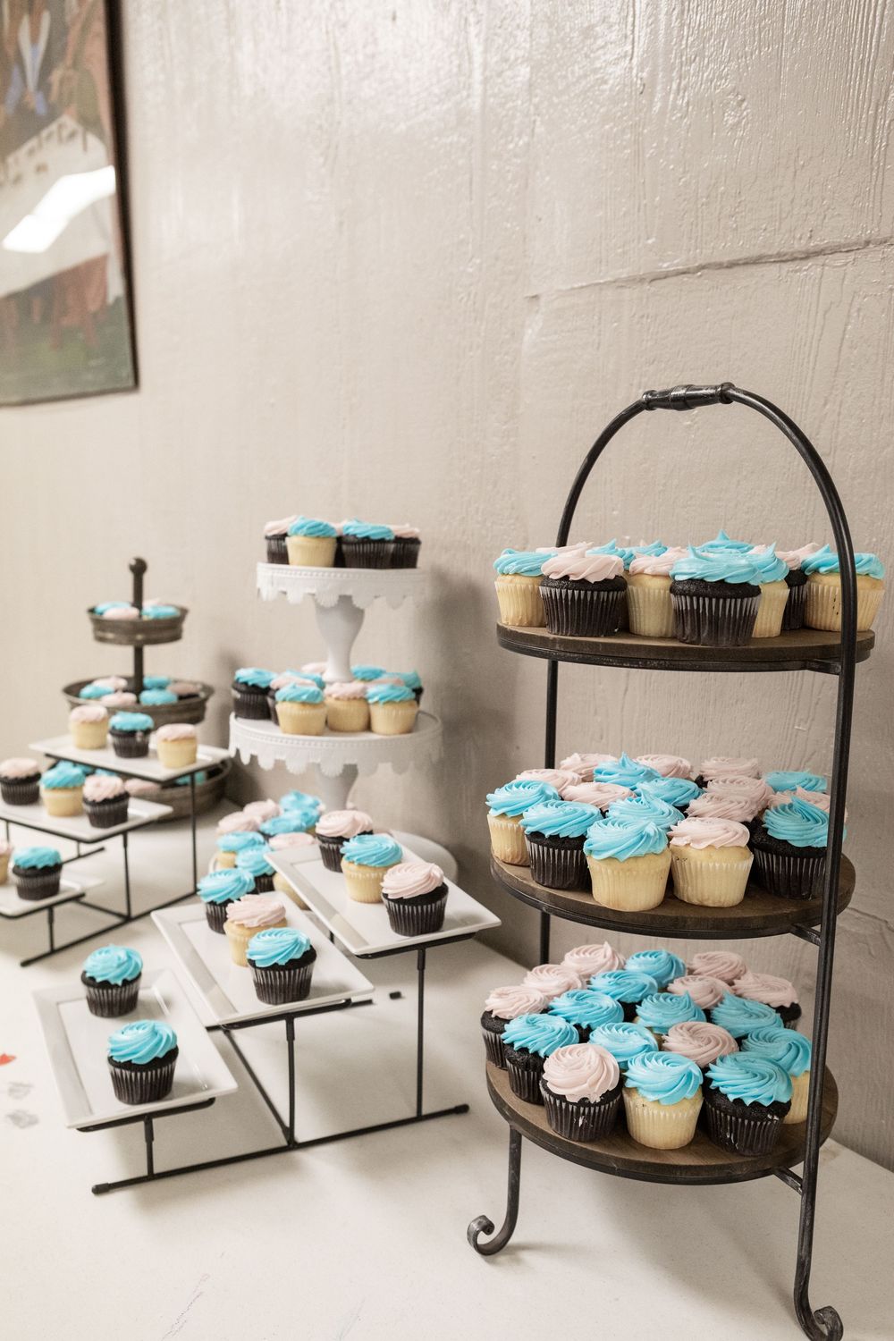 Brianna Alvis Photography | Lufkin, TX photographer capturing light, natural, and emotional moments across East Texas.