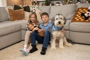 A large fluffy doodle dog lounges on a gray couch next to someone in a cozy living room setting.
