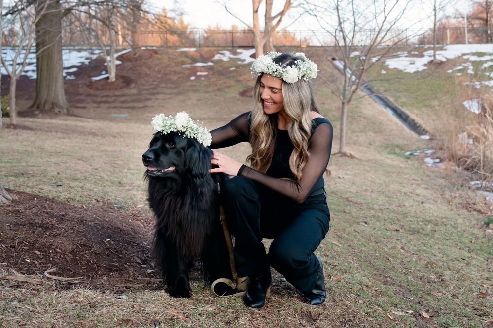 Portrait Photography Dog Portraits