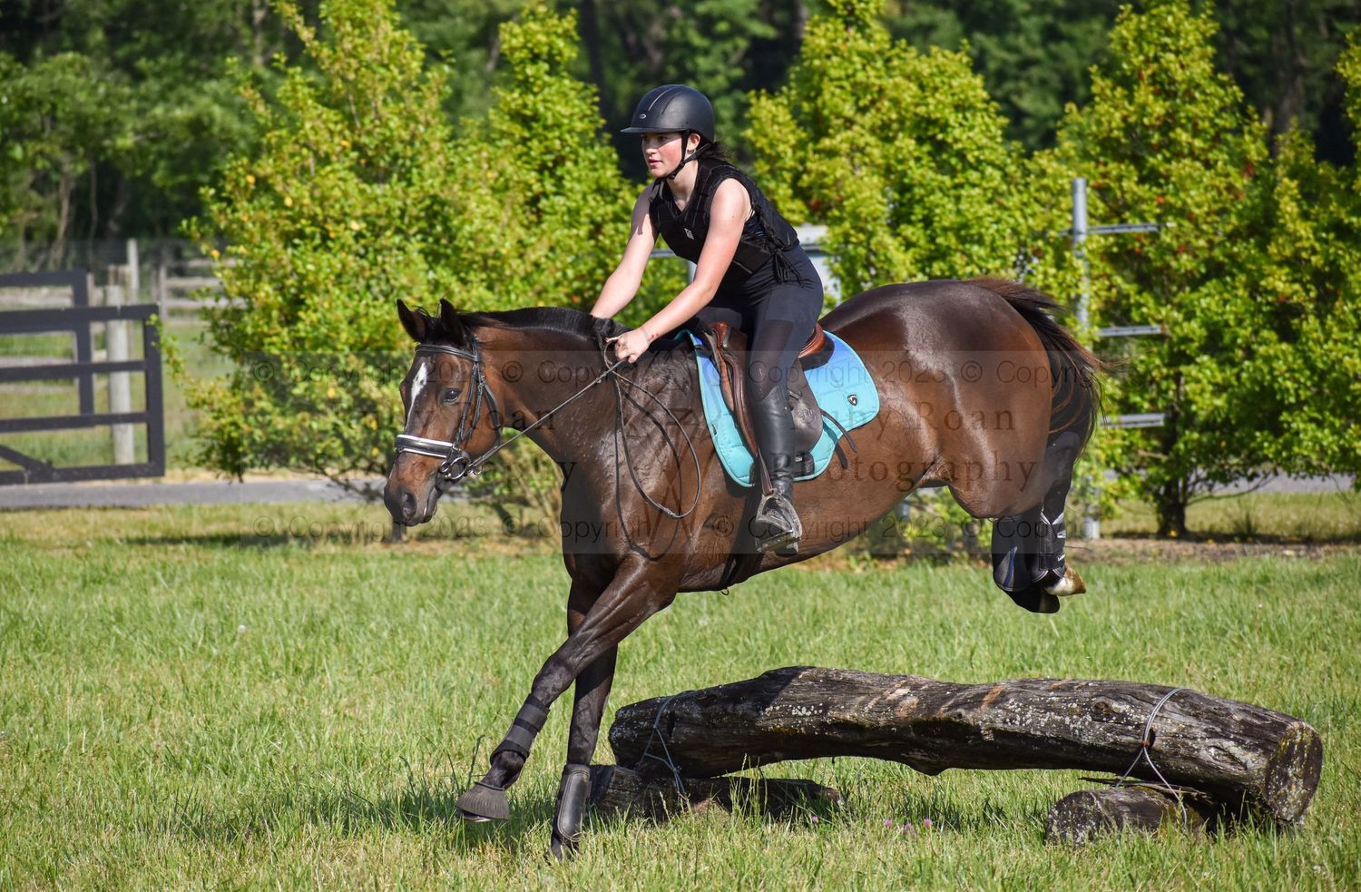 Horse an rider jumping over log