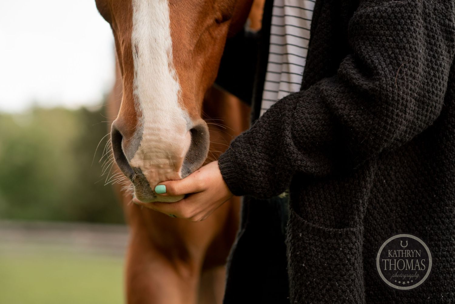 Close-up detail of a chestnut horse's muzzle being touched by hands in a black sweater.