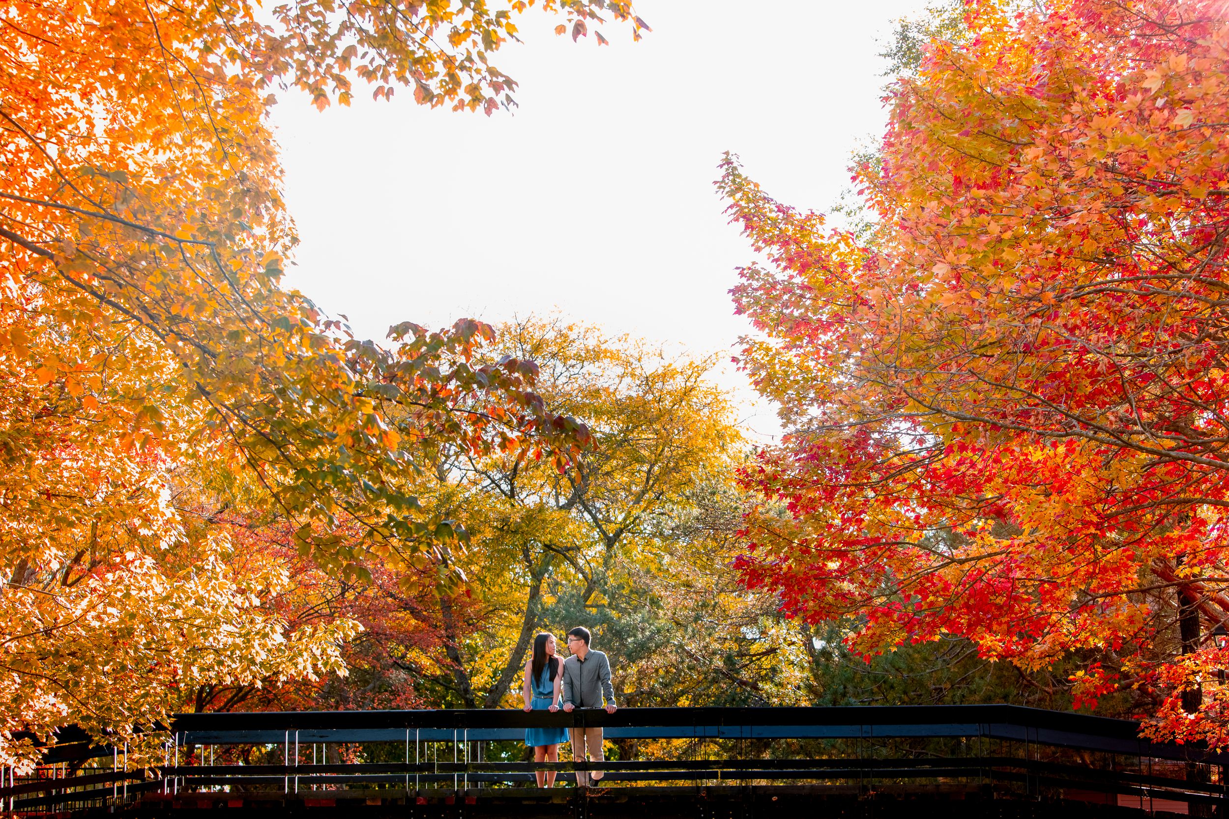A bridge surrounded by vibrant autumn foliage in red and orange hues.