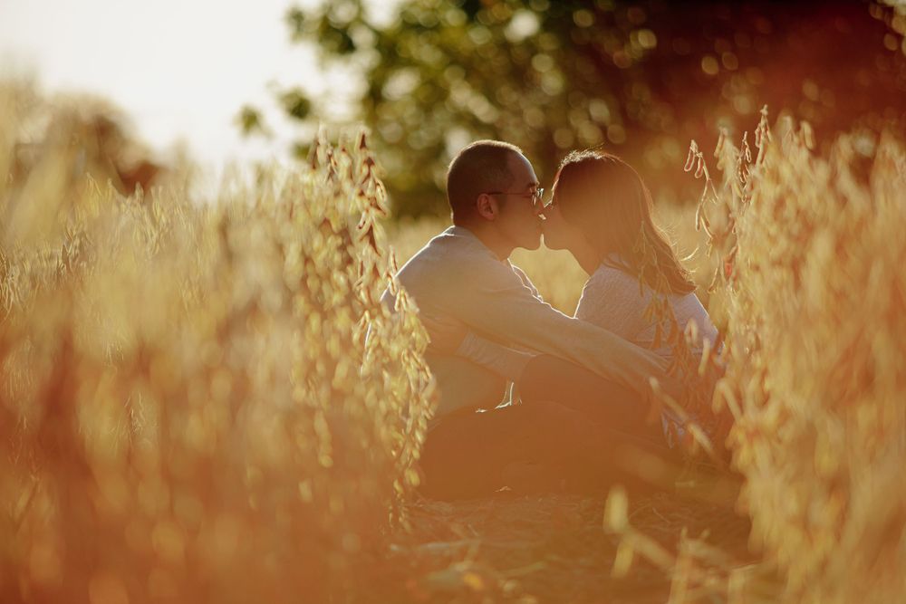 A romantic moment captured in golden light among tall grass.