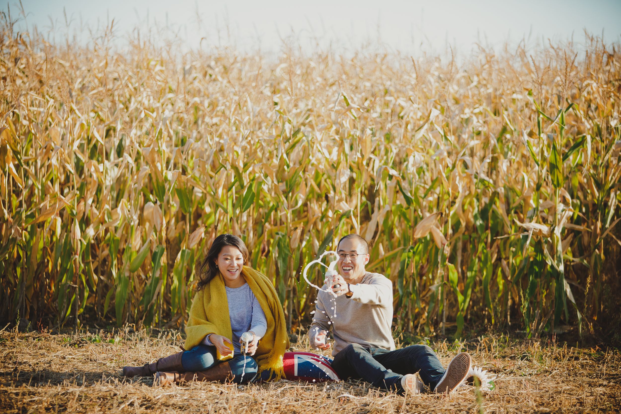 A picnic scene by a cornfield on a sunny autumn day.
