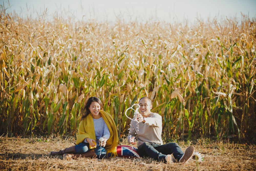 A picnic scene by a cornfield on a sunny autumn day.