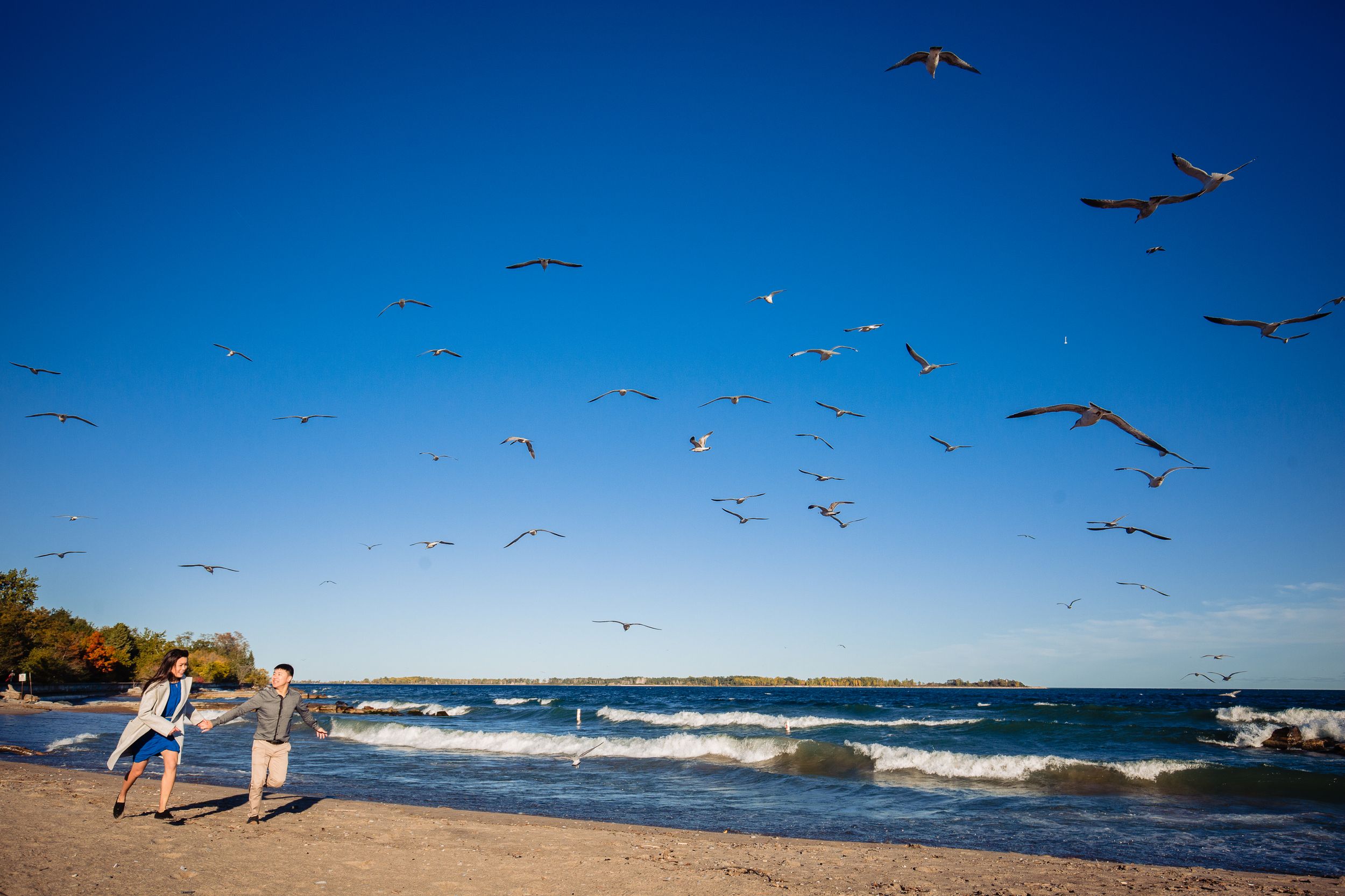 Seagulls soar over a beach while people walk along the shore with waves crashing.