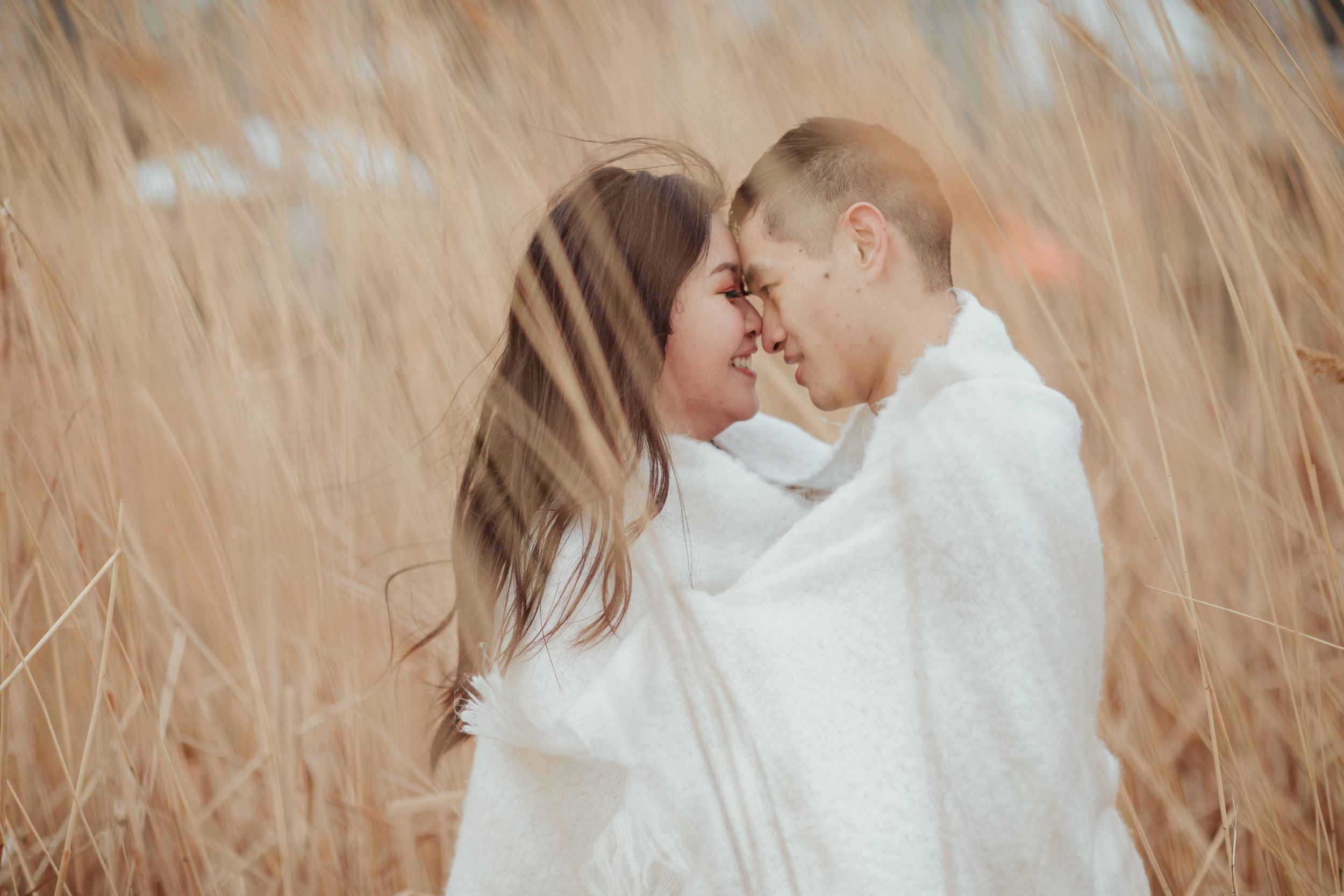 A couple shares an intimate moment wrapped in white blankets among tall wheat grass.