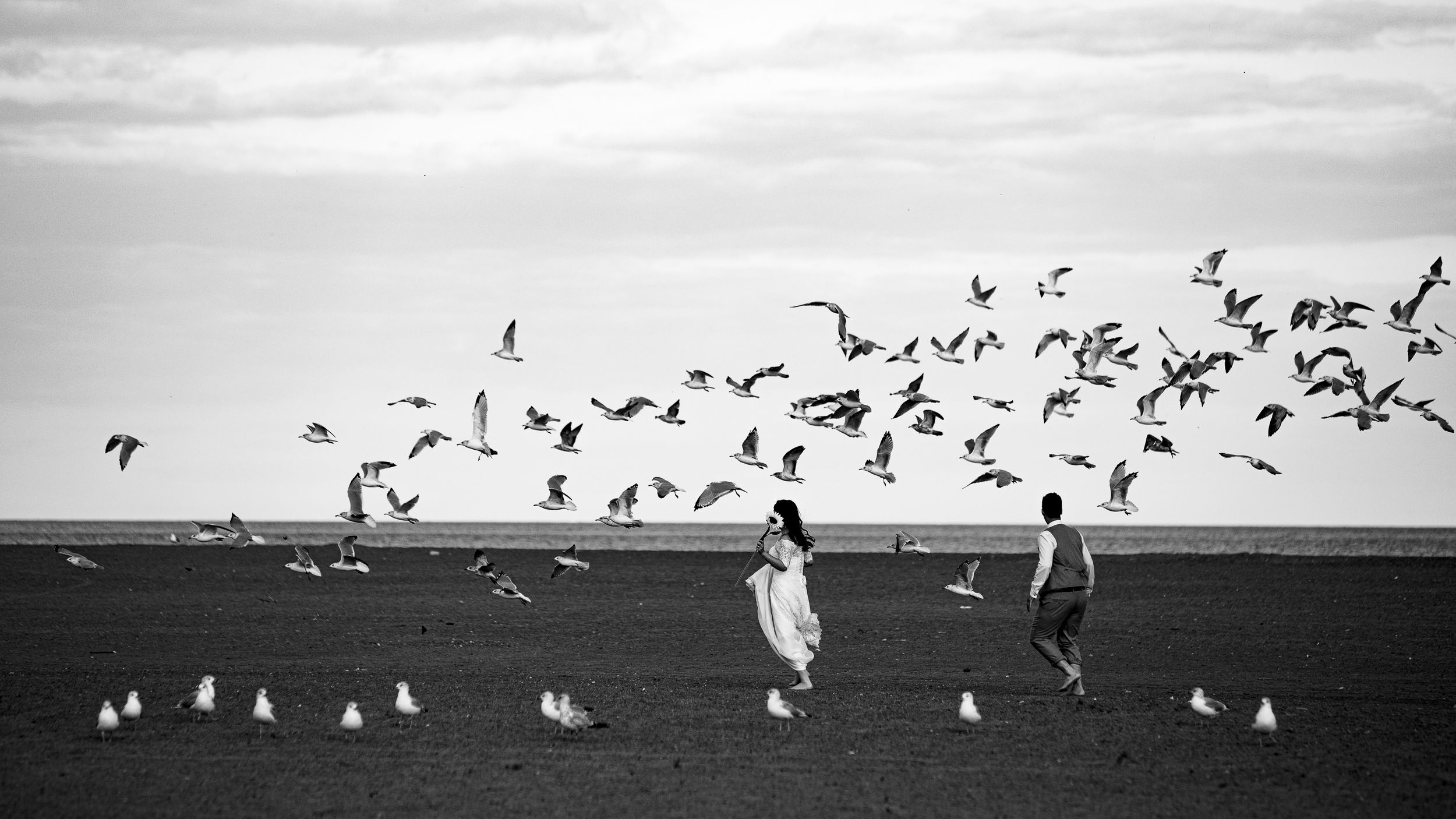 Black and white photo of people in a field surrounded by flying seagulls.
