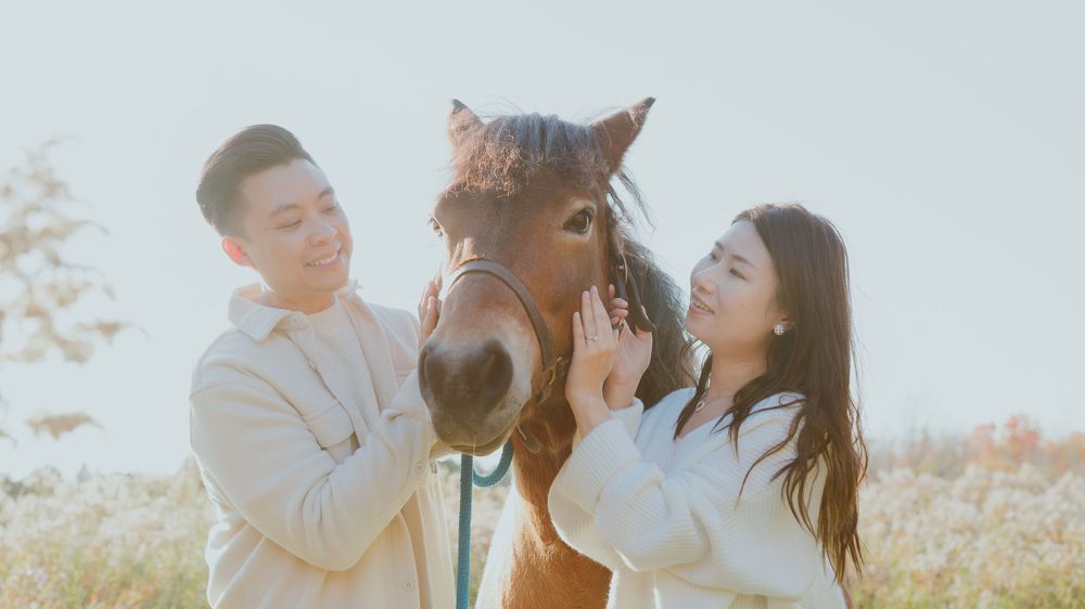 A couple pets and interacts with a friendly horse in warm sunlight.