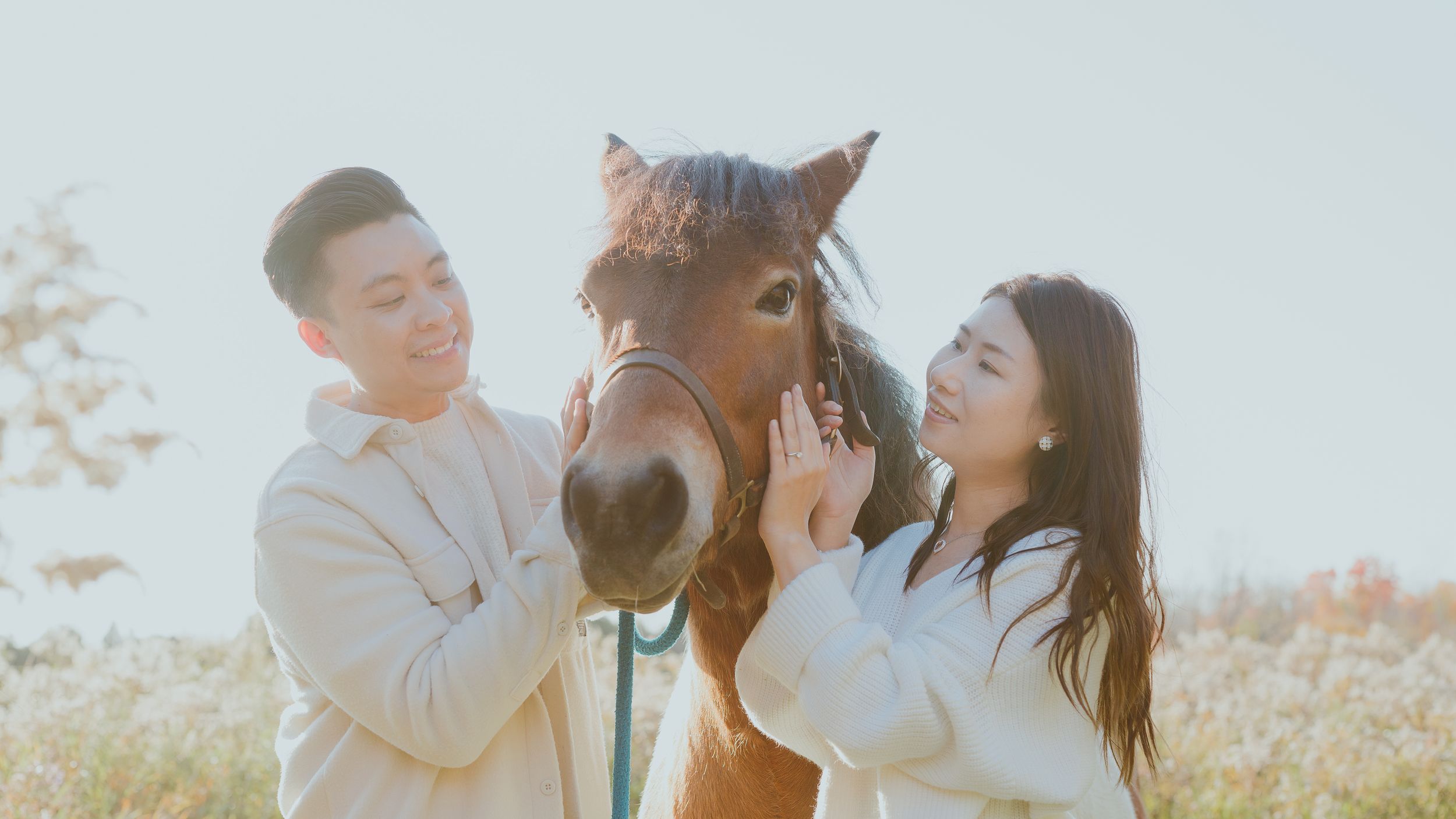 A couple pets and interacts with a friendly horse in warm sunlight.