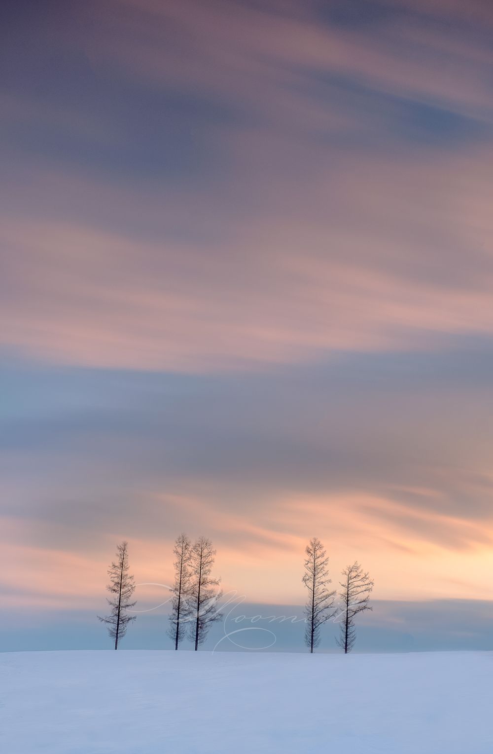 Sunset glow