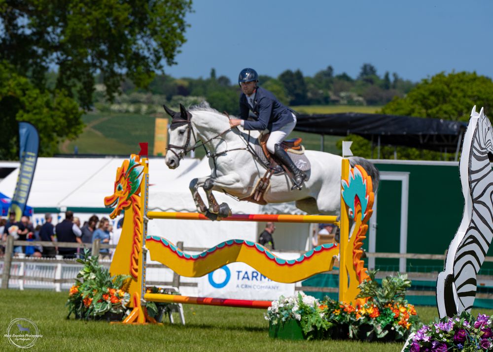Show jumper clearing a colorful obstacle course with decorated floral barriers.
