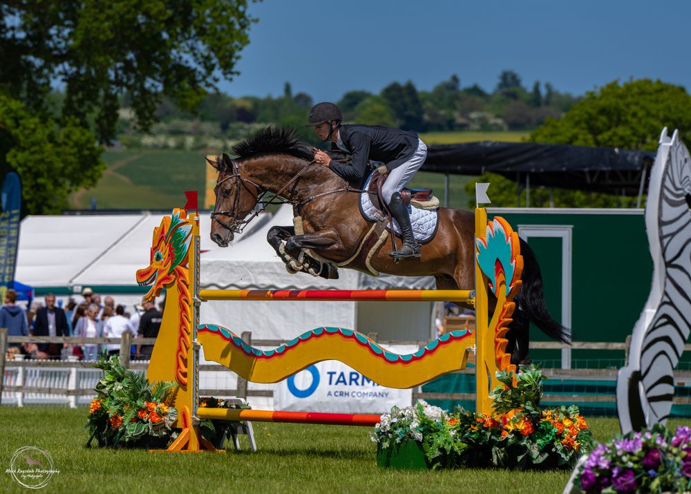 Horse and rider clearing decorated show jumping fence at summer competition.