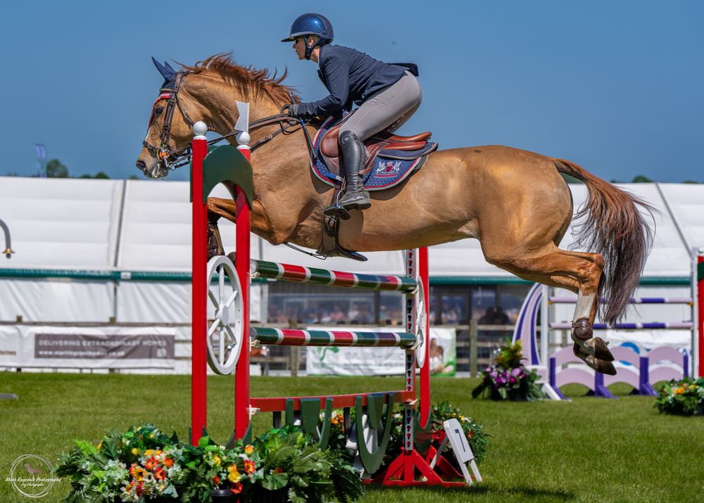 Chestnut horse leaping over red and white jump rails during equestrian competition.