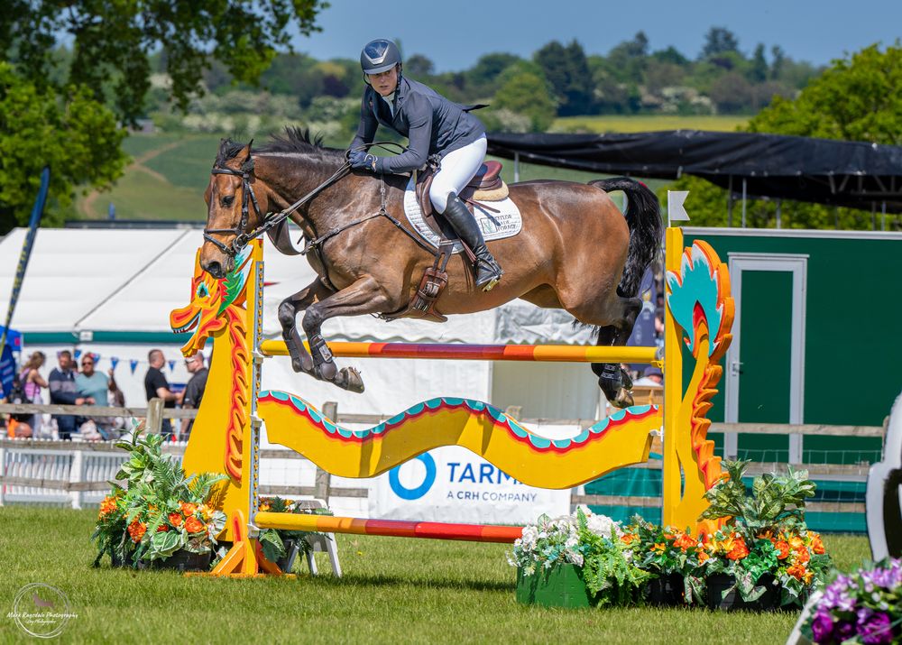 Bay horse clearing decorated show jumping fence at outdoor competition.