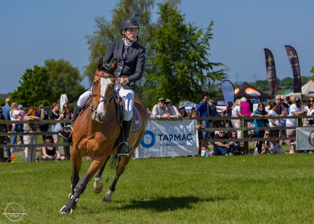 Chestnut horse cantering at outdoor equestrian event with crowd watching in background.
