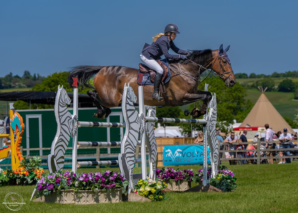 Show jumper clearing decorated fence with zebra-striped poles at sunny outdoor competition.