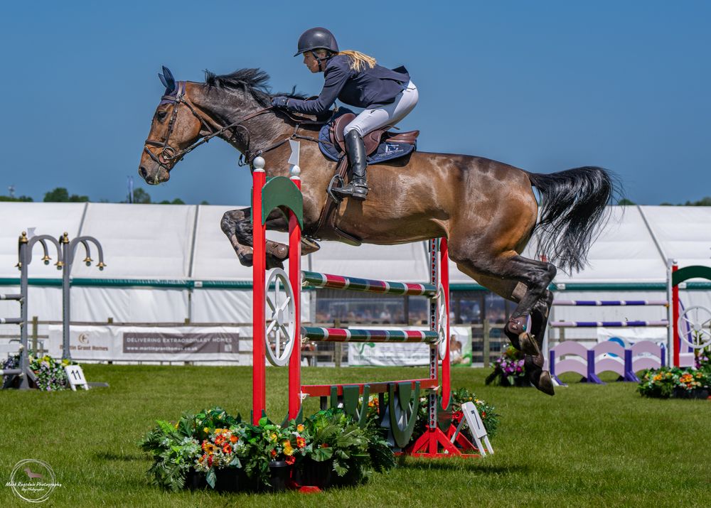 Chestnut horse with black tail clearing red jump pole during show jumping competition.