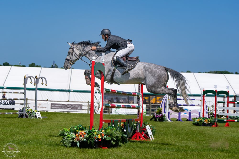 Grey horse and rider clearing red obstacle during show jumping competition on sunny day.