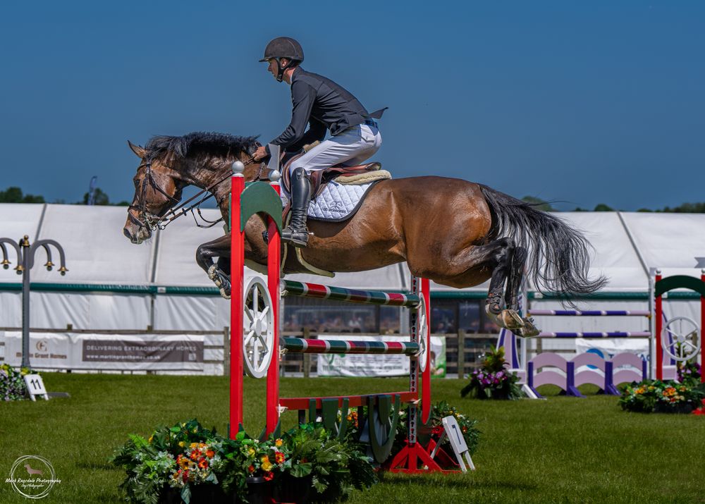 Show jumper and chestnut horse clearing a red and white jump during equestrian competition.