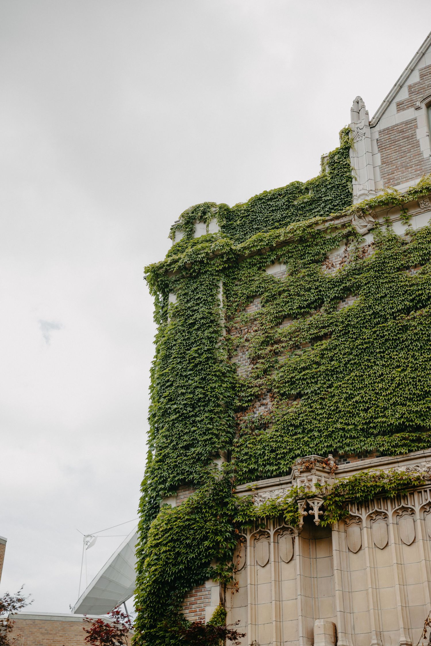 Ivy covered stone building facade with architectural details under an overcast sky.
