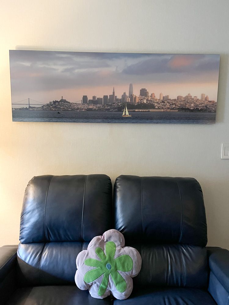 Large cityscape canvas print of San Francisco skyline mounted above a black leather couch with green plush pillow.