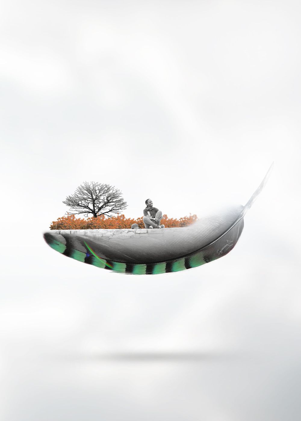 Debbie of a flying land on the top of a feather