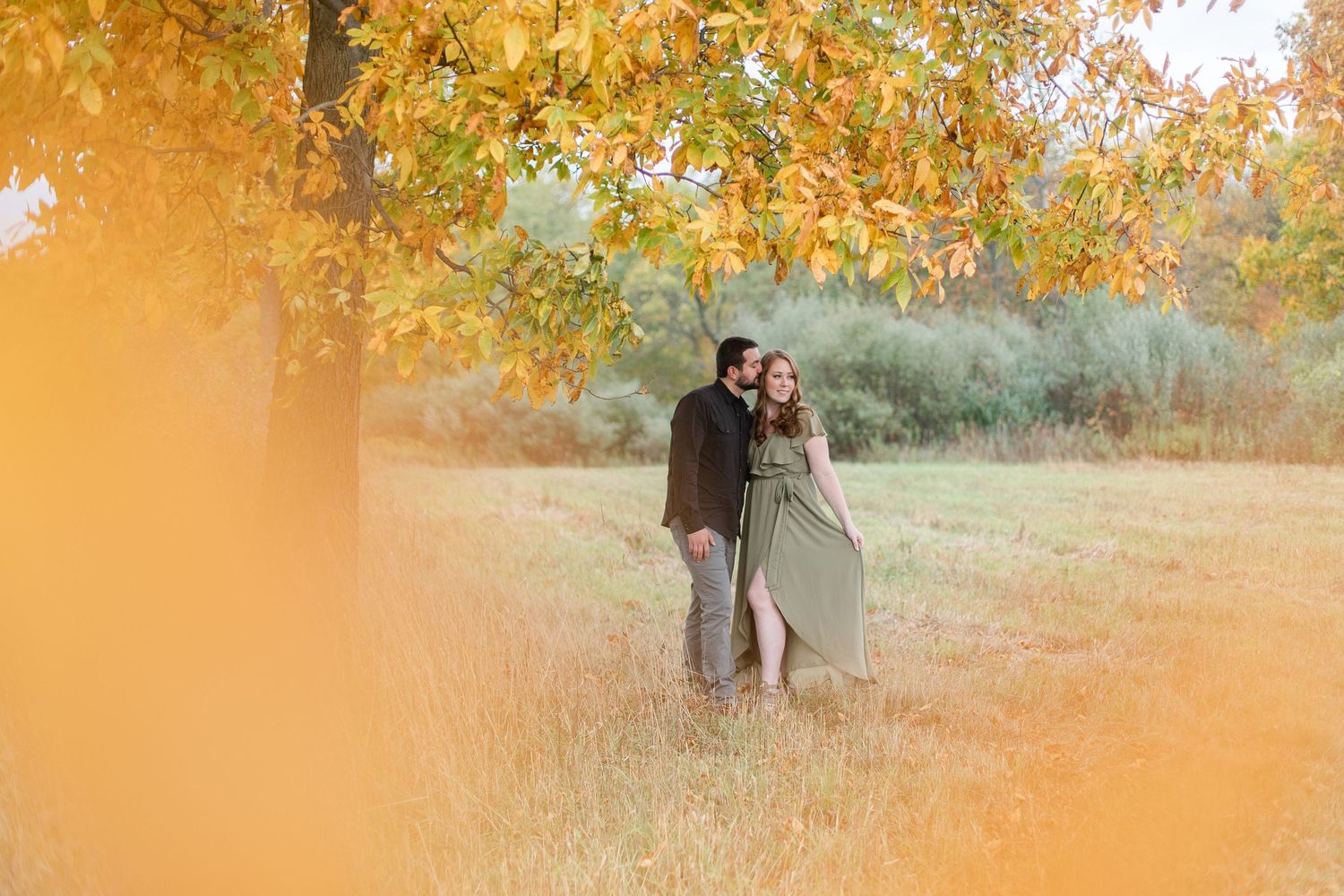 Golden autumn sunlight filters through trees creating a warm glow in a rural field.