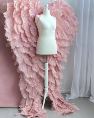 real feather angel wings, photoprop, life sized angel wings ,luxury wings
