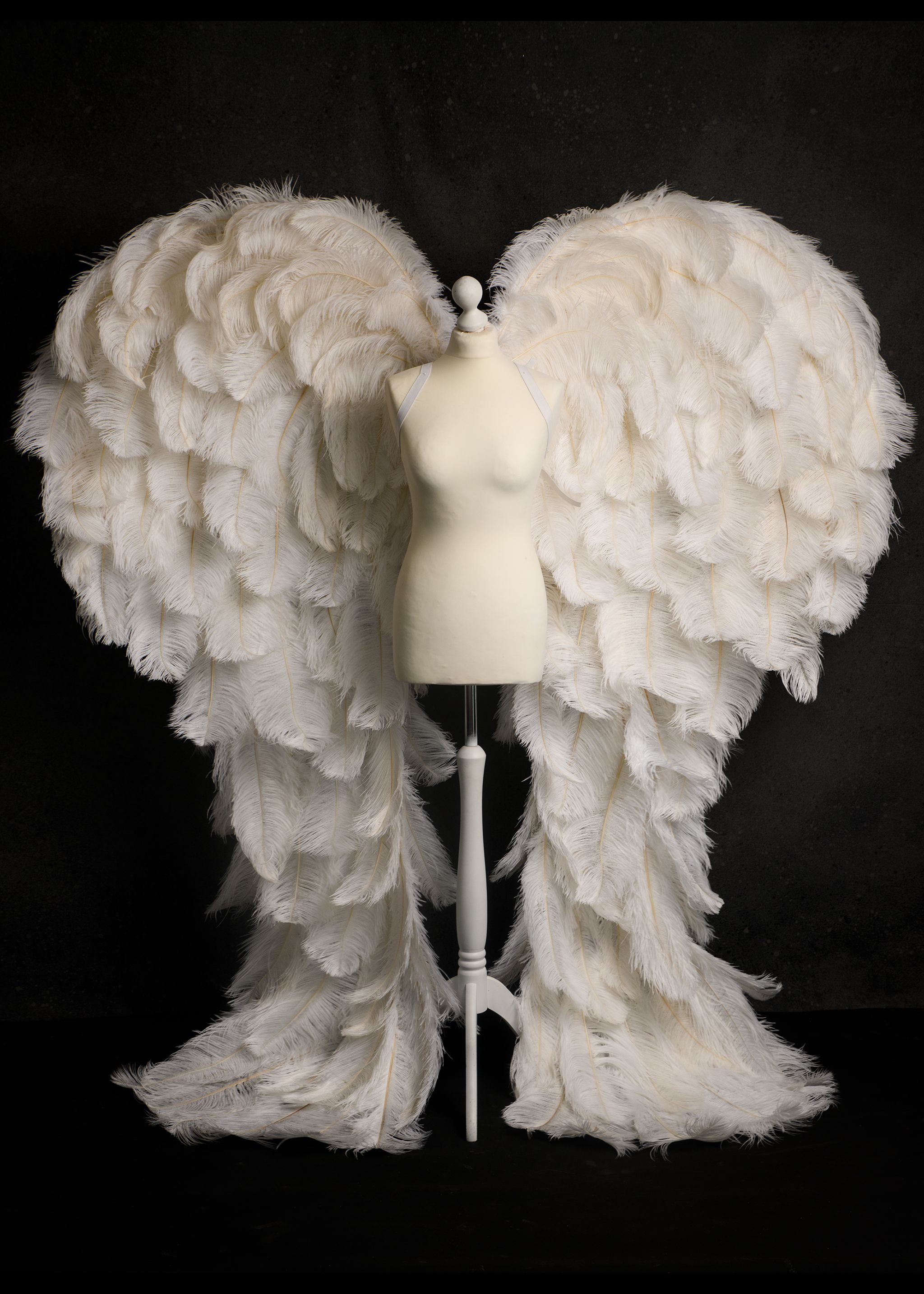 real feather angel wings photoprop life sized angel wings