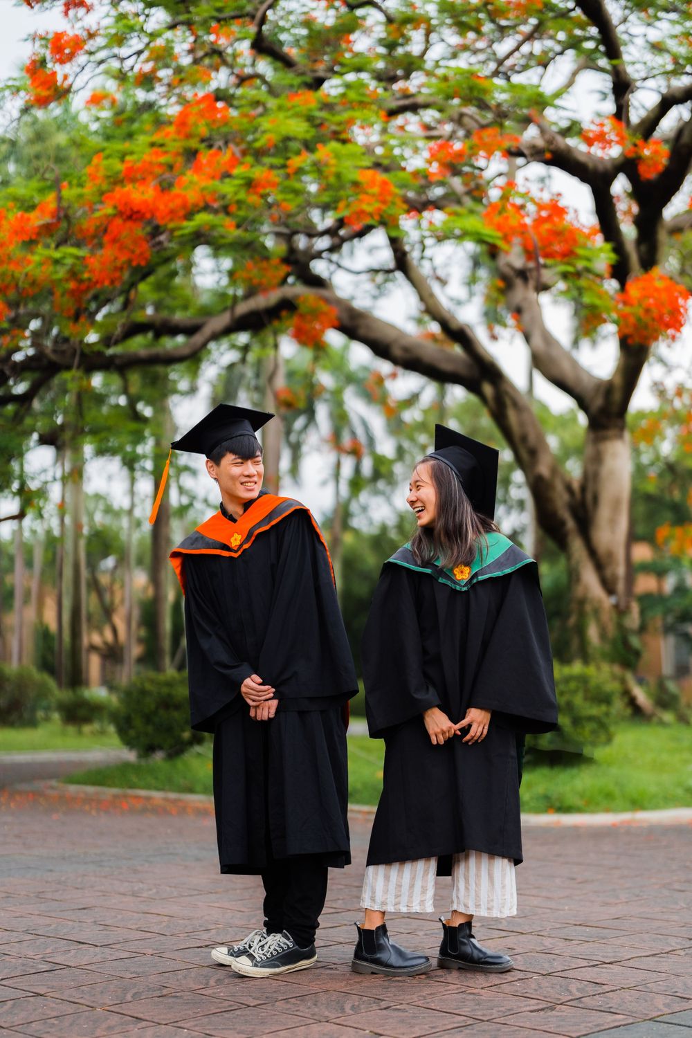Two graduates in black gowns stand together under vibrant orange blossoming trees.