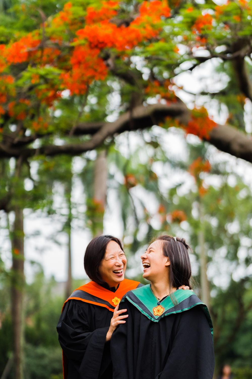 Graduates in academic regalia share joyful laughter under bright orange blossoms.