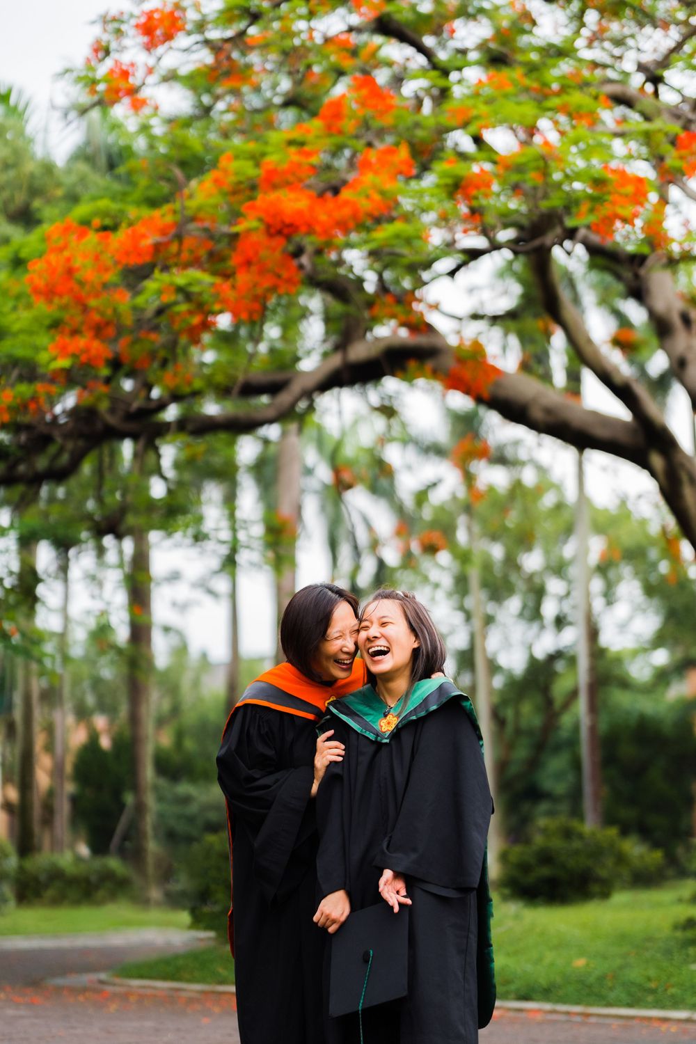 Two graduates in black gowns share laughter under orange flowering trees.