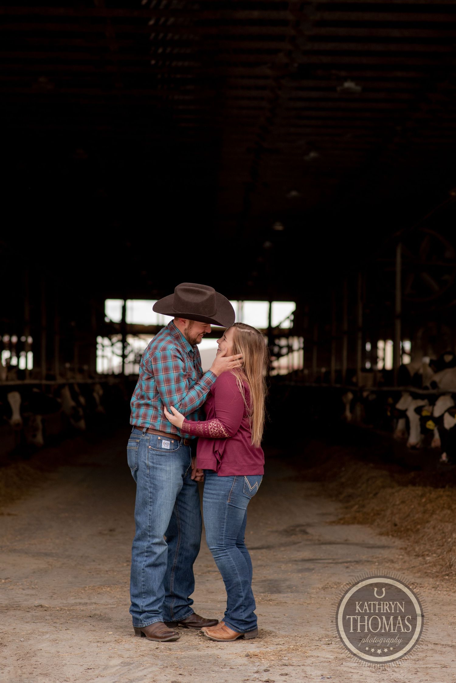 Romantic couple embraces in a rustic barn setting with dairy cows visible in the background.