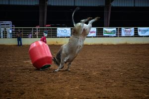 Cowboy boots kick up dirt near a large red ball in a western rodeo arena.