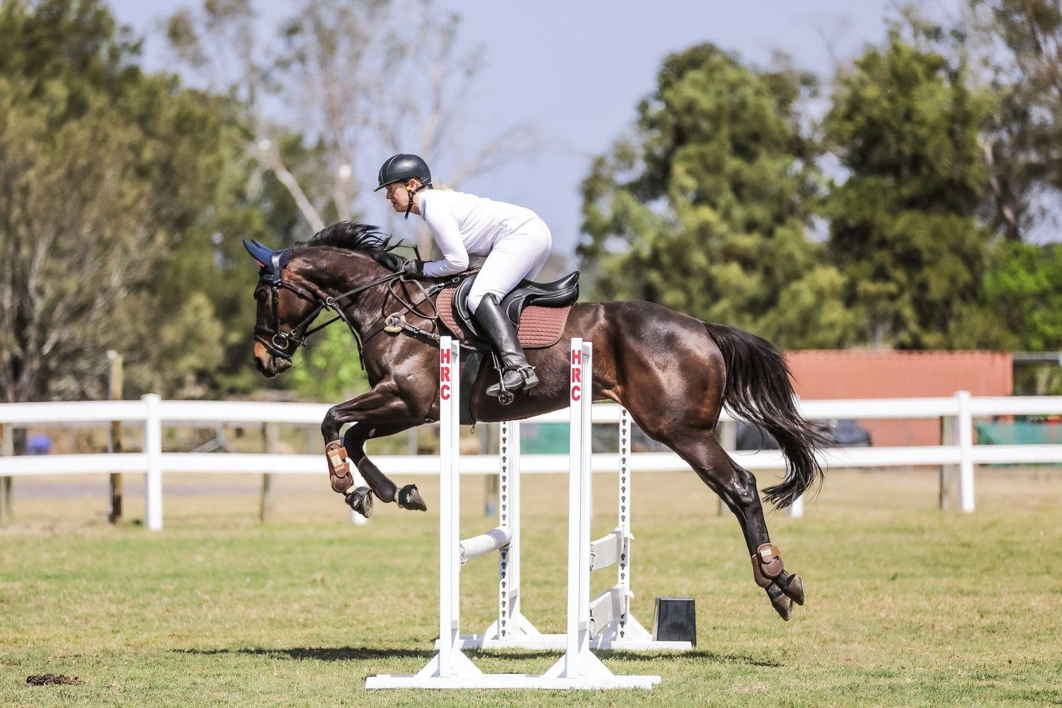 Equestrian photography.