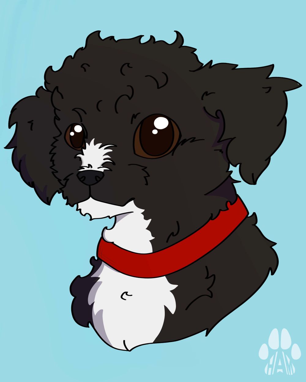 An illustration of a curly haired puppy, she has black fur and white fur on her chest. She is wearing a red collar