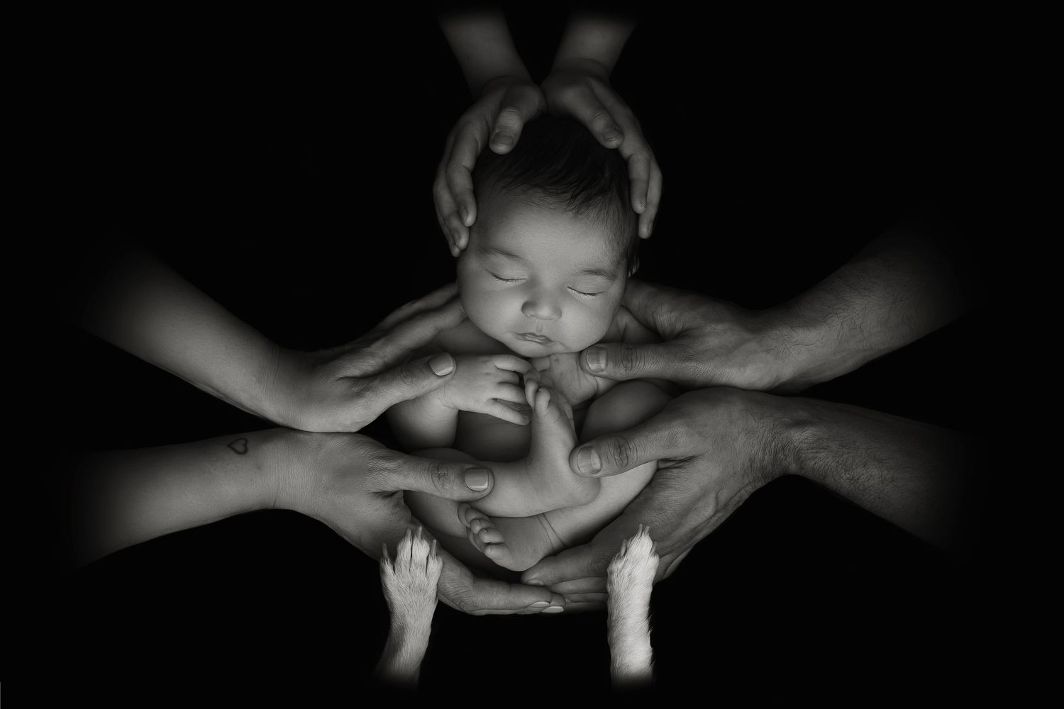 Elegant black and white silhouette of parents sibling and their pet holding their newborn in their hands, capturing a timeless family bond.