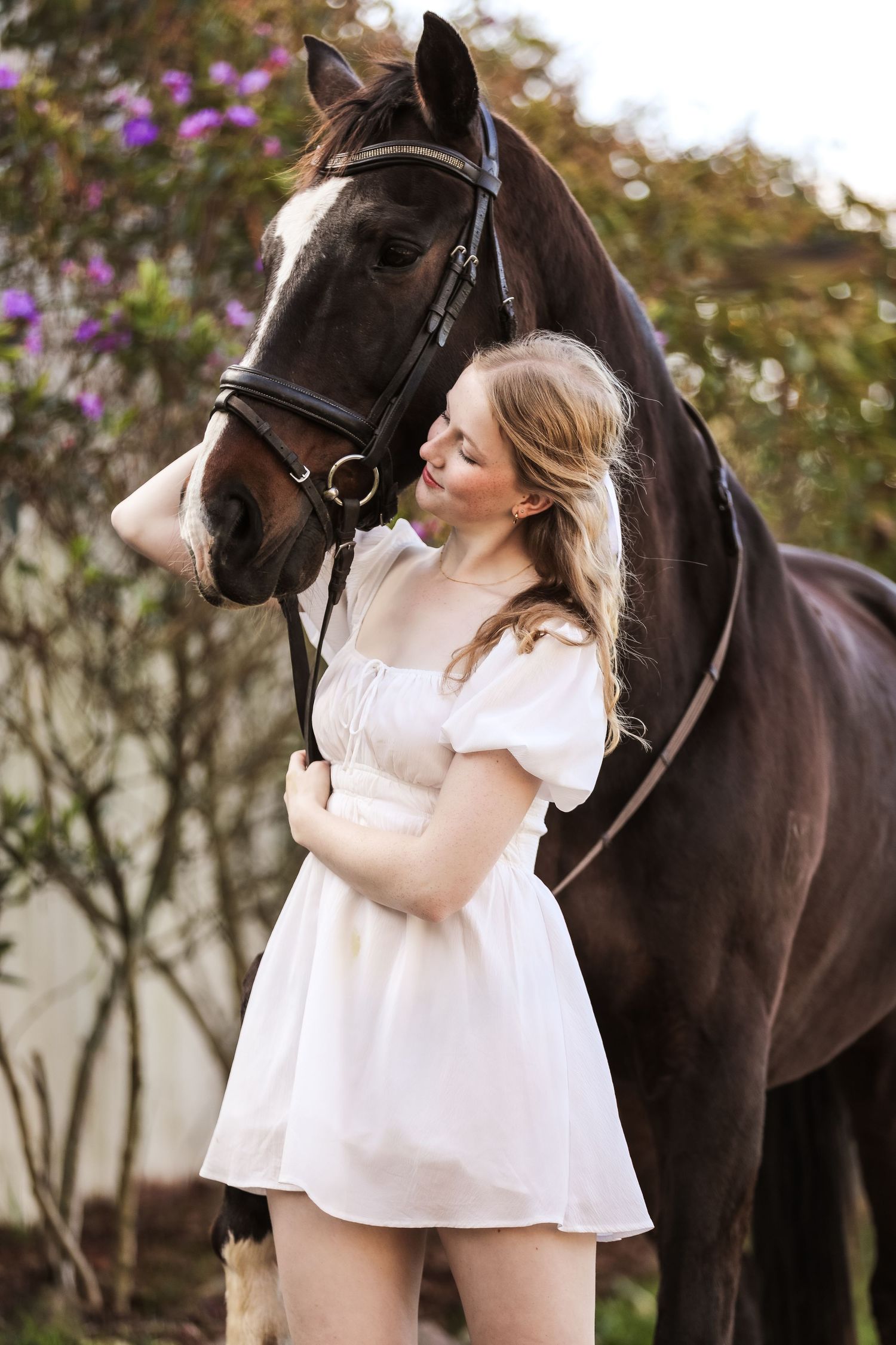 Equestrian photography.