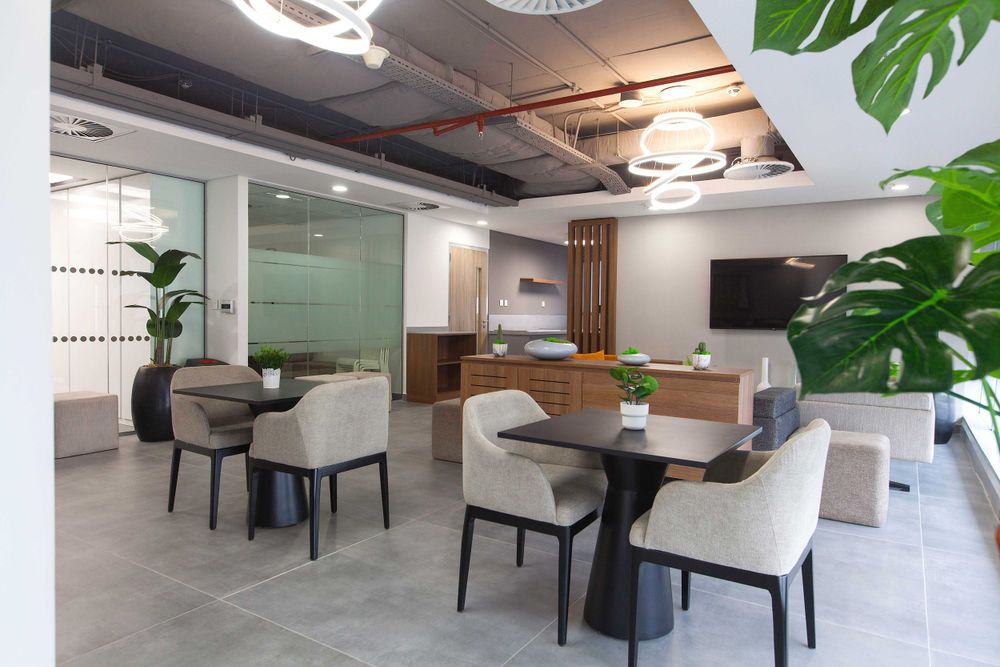 Modern office space with sleek furniture, indoor plants, and sophisticated lighting arrangements.